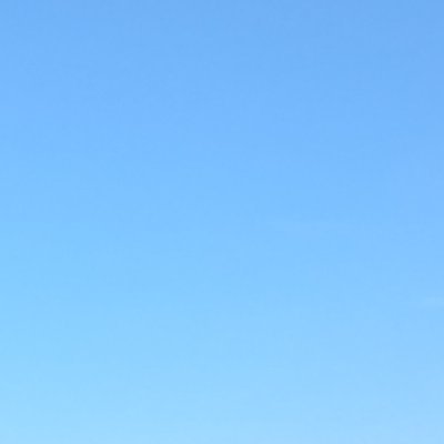 DerA Profile