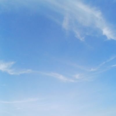 CROWNAIRDROP1's profile picture. 