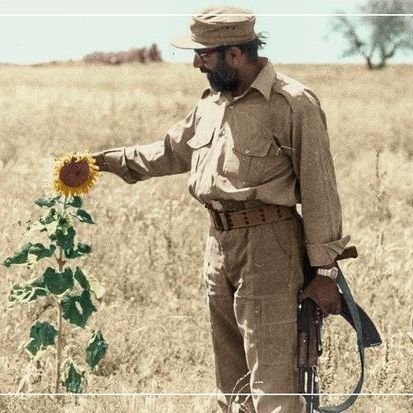 یک دهه هفتادی که در جستجوی آرمان های دهه شصت هست
دهه شصت دهه امام خمینی(ره)بود.شهیدآوینی
،،،،،...مصطفی یاسایی
This page is dedicated to the
Islamic revolotion