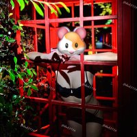 I'm A (@dmk3176) 's Twitter Profile Photo I'm A (@dmk3176) 's Twitter Profile Photo