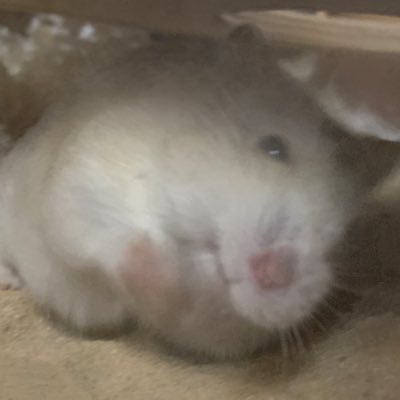 λ
Ήλπ± Profile
