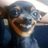No_Rakel's profile image