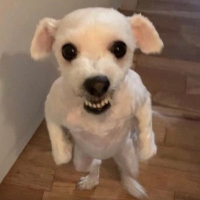 itmomteunteun's profile picture. 