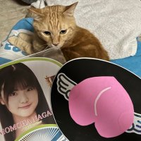 木下マタムネ (@matamuneko_ak) 's Twitter Profile