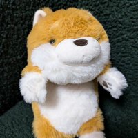 hamajun (@jun_hama_bns) 's Twitter Profile