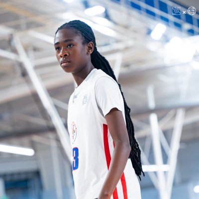 Imerii Ingram PG 2029 Profile
