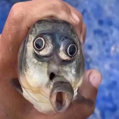 gogo_tu's profile picture. Tu gogogogogogo