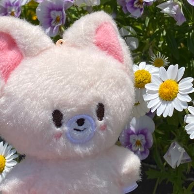 ℳさんのプロフィール画像