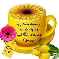 آل صقر (@omr_2026) 's Twitter Profile