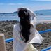 Pamela (@xena20047) Twitter profile photo Pamela (@xena20047) Twitter profile photo