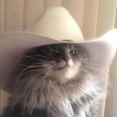 Tekaさんのプロフィール画像