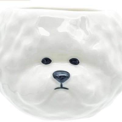 runaruna8282's profile picture. QuizKnock もんくんを応援！