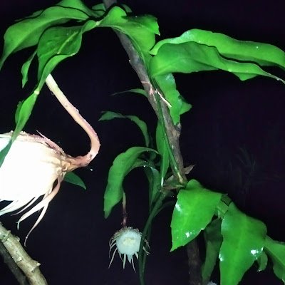 darti7086's profile picture. 