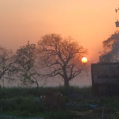 Reche998's profile picture. Nothing to say