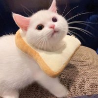 Dongu 동구 (@dongulee111) 's Twitter Profile