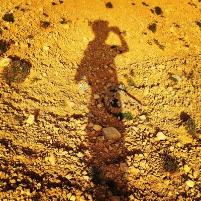 burkaydmrs01's profile picture. 