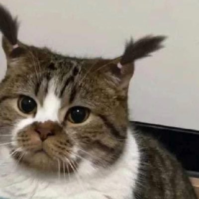 vantaexxvv's profile picture. 