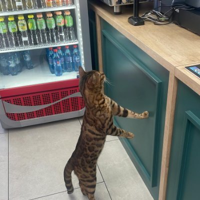 mptmpt1212's profile picture. A3edFGrUkaLZNVG8cPPnRKHpL11Sp961LfKxApXdpump