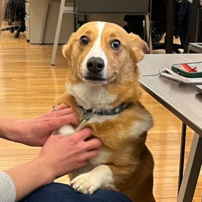 nanshi_chin's profile picture. 