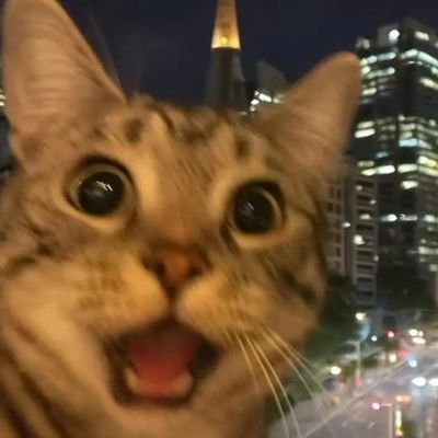 ssushir0ll_'s profile picture. 𝐲𝐨𝐮𝐭𝐡 𝐢𝐬 𝐧𝐞𝐯𝐞𝐫 𝐜𝐨𝐦𝐢𝐧𝐠 𝐛𝐚𝐜𝐤.