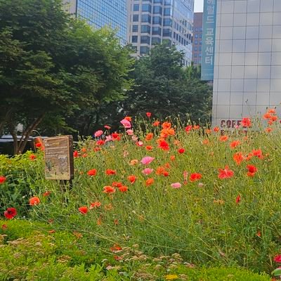 0707sally's profile picture. 