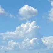 2b2s1gc_m's profile picture. 