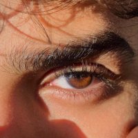 Acountant (@accouting009) 's Twitter Profile