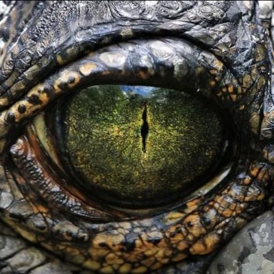 RMalteser's profile picture. 