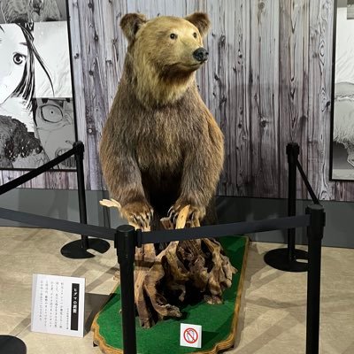 6P0y5EyUMt48675's profile picture. 