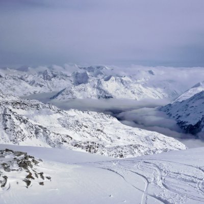 LoSterzorugby's profile picture. "Revenge is a dish best served cold