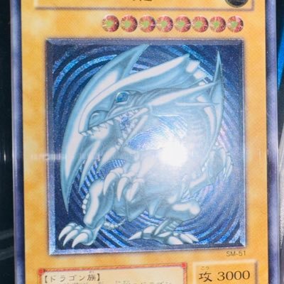 2022年から遊戯王収集。メインは青眼の白龍初期絵で懐かしいカード、屋台レアも集めたりしてます。