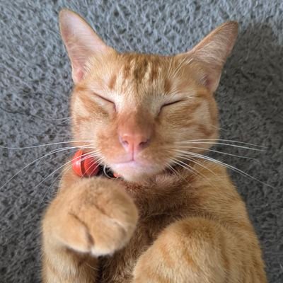 NimoUzumaki's profile picture. 