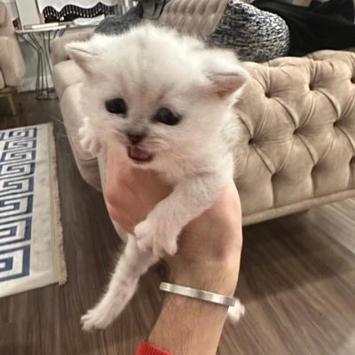 spredluv3's profile picture. I love my wife