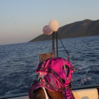 finA (@jocev2) 's Twitter Profile