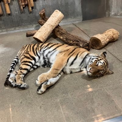 yさんのプロフィール画像
