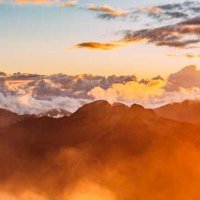 Orland Rohan (@orlandroha18407) 's Twitter Profile
