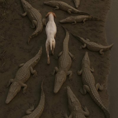 g_syde5993's profile picture. 