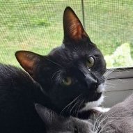 Zoey🔞☣ (@megamilk) / Posts / X