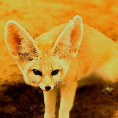 elkfelk183493's profile picture. 