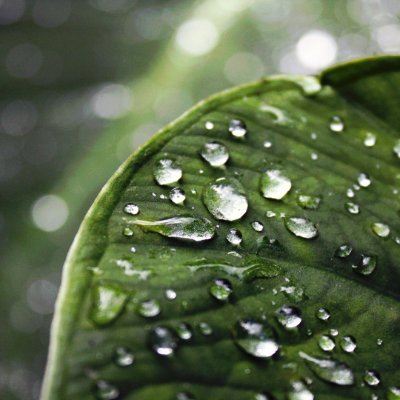 raj_ae's profile picture. I am ashes where once I was fire.