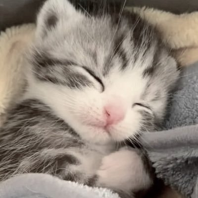 純白に縫い付けられたまま虚空を見ていた