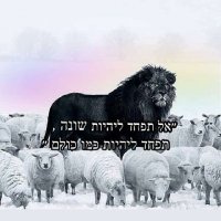 מיכל (@mykl164621) 's Twitter Profile