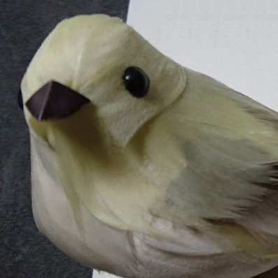えすあいさんのプロフィール画像
