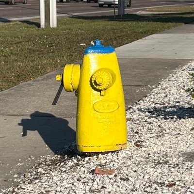 m4koUSA's profile picture. 