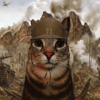 war cat (@ww3cat) 's Twitter Profile Photo war cat (@ww3cat) 's Twitter Profile Photo