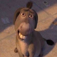 Davidson (@pandadav23) 's Twitter Profile