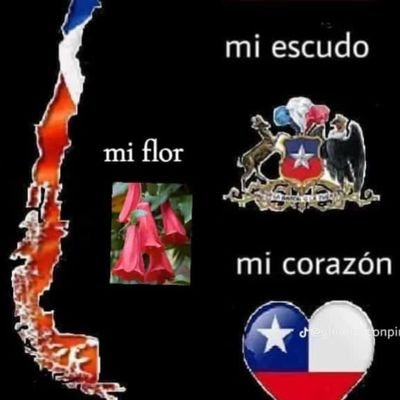 3a cuenta. Siempre por la derecha 🇨🇱 No zurdos !!
Apoyo a Carabineros de Chile