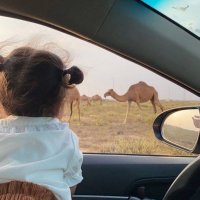 Arwa Almulla 🇶🇦🤍 (@arwaalmulla6) 's Twitter Profile