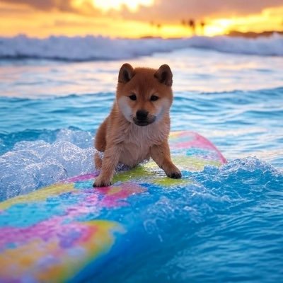 ||God🌞|Family🏠|Surf🌊🏝️|America First 🇺🇸||