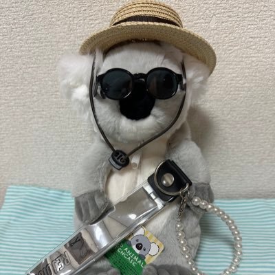 ぴろもたんさんのプロフィール画像